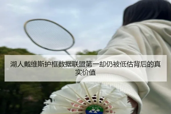 湖人戴维斯护框数据联盟第一却仍被低估背后的真实价值