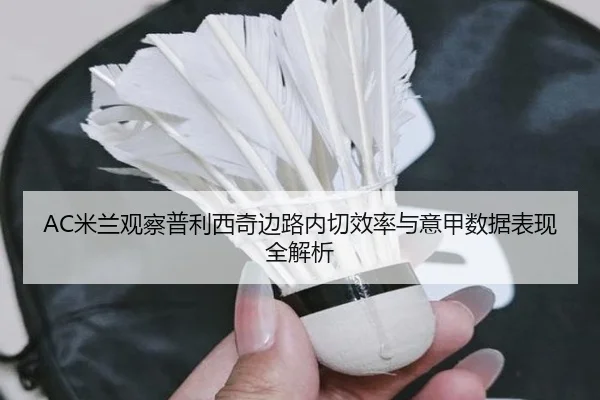 AC米兰观察普利西奇边路内切效率与意甲数据表现全解析